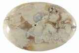 Polished Flower Agate Palm Stone - Madagascar #227006-1